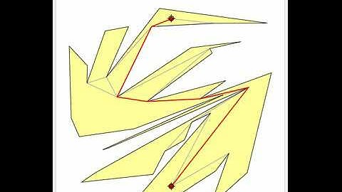 Paths inside a Polygon