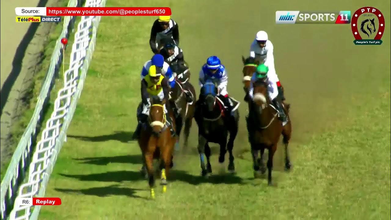 Hippisme - 22ème journée - La 6ème course en direct - YouTube