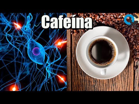 Vídeo: Como a cafeína funciona bioquimicamente?