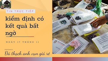 Đá thạch anh vụn đánh bóng đi kiểm định có kết quả bất ngờ || Nhà Sàn Tây Nguyên
