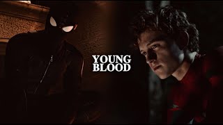 Peter Parker || Youngblood