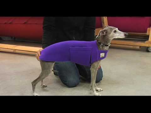 k9 apparel greyhound