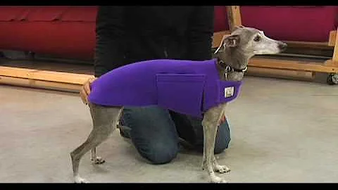 Voyagers K9 Apparel Product Information Video