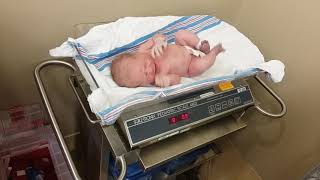 Daphne's birth