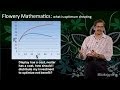 Milind Watve (IISER): The &quot;Katta&quot; Model: Doing Science Differently