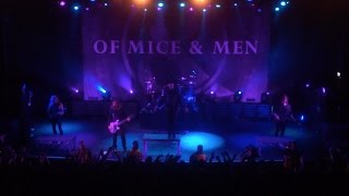 Of Mice \u0026 Men - Never Giving Up (1080p Live)