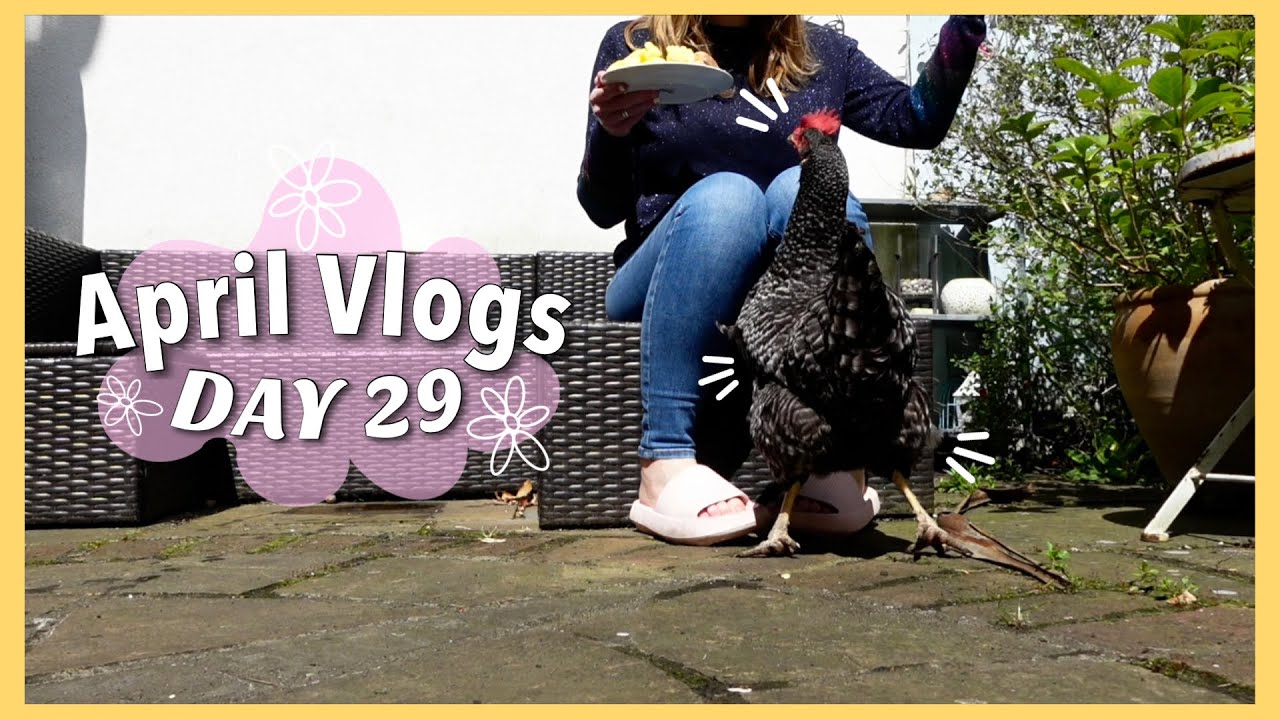 April Vlogs Day 29  Cheeky Chickens  Book Chat with my Teen