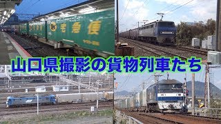 【貨物列車】西へ遠征　大迫力のジョイント音とモーター音　広島・山口で撮影したの高速貨物列車たち　全13本