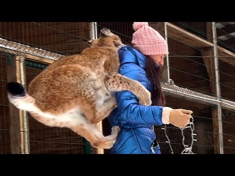 РЫСИ ОХОТЯТСЯ НА ДЕДА МОРОЗА