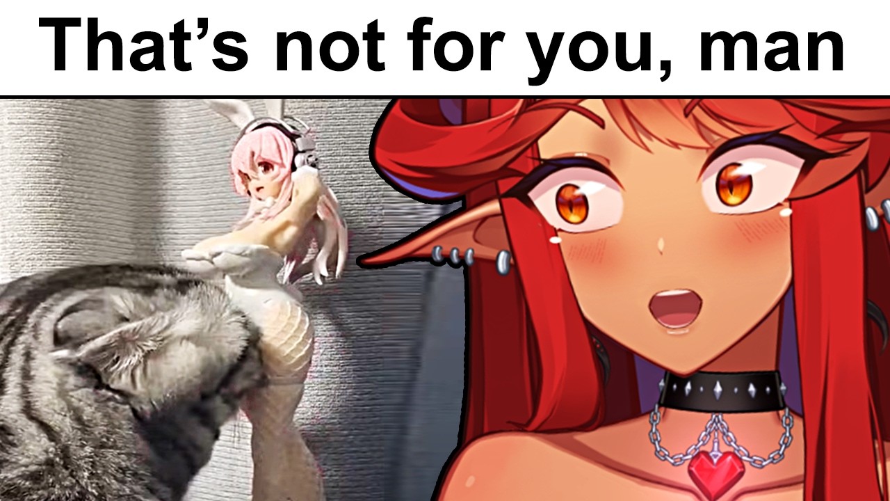 THESE VIDEOS ARE TOO FUNNY!! (r/Funnyvideos)