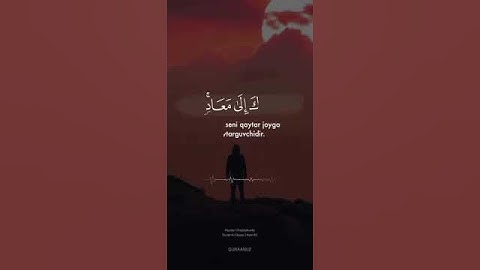 سورة القصص / surah al qasas