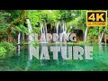 Clapping water relaxing music  music for your mind body and soul