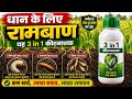 धान के लिए 3 in 1 कीटनाशक  दीमक, निमिटोड , अन्य सभी प्रकार के जमीन के कीट पर नियंत्रण 