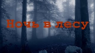 Истории на ночь: Ночь в лесу Истории на ночь: Ночь в лесу