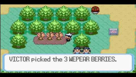 Pokemon Ruby Walkthrough Part 9