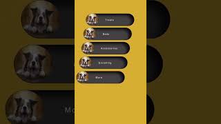 Sliders CSS Animation