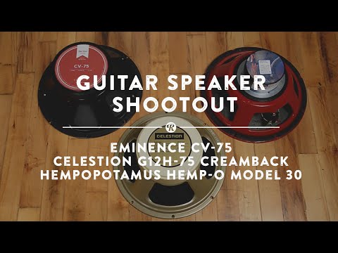 12" Guitar Speaker Shootout | Reverb Demo Video