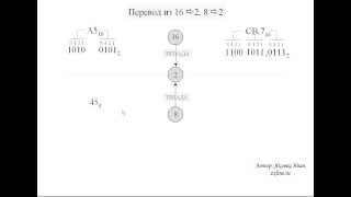 Перевод из 8 и 16 в 2 систему счисления.