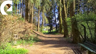Epidemic sound instrumental mix - a walk in the spring forest and city - 4K music video