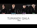 DNA - Tumandy qala (текст песни)