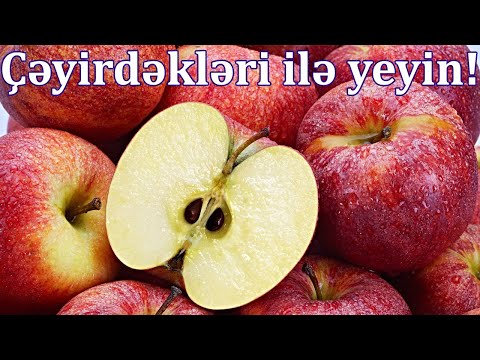 Video: Alma Meyvəsi Yonqar