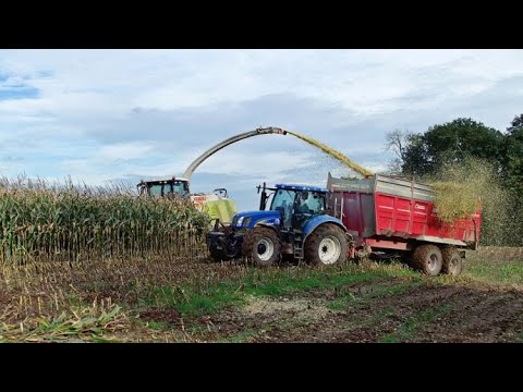 Vidéo: Agrostretch : Un Aperçu D'AGROCROP, Polifilm Et Autres Films D'ensilage Pour L'ensilage Et L'ensilage