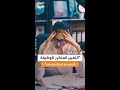 الكاتب أحمد عبده المغامرة في الوظيفة والتغيير المتكرر غير محبب وقد يضر الاستقرار المهني