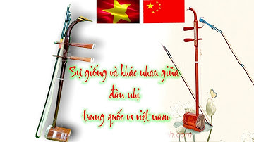 So Sánh Nhị Việt Nam Và Nhị Trung Quốc - Sự Giống Nhau Và Khác Nhau