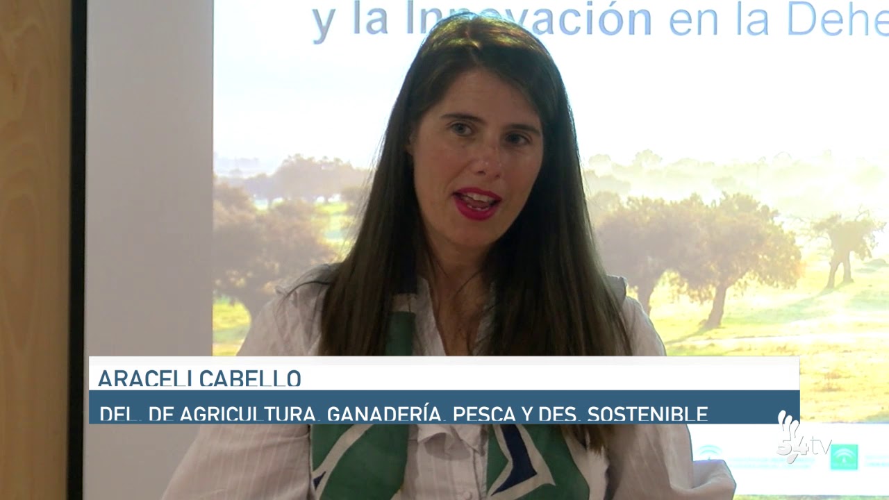 INFORMATIVO 21 DE JUNIO DE 2019 pozoblanco cordoba