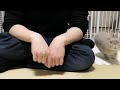 うさぎがブチ切れたらこうなります