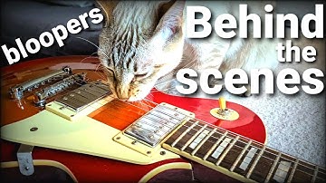 Making of Mico Kitty - Too much Catnip | Behind the Scenes and Bloopers with a catnip-loving cat