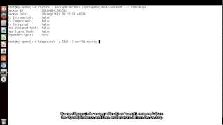 ForgeRock OpenDJ Backup
