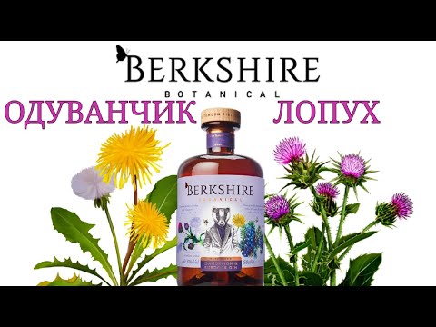 Видео: The Berkshires для романтических пар