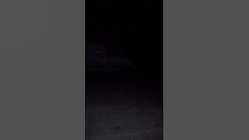 سورة الإخلاص بصوت القارئ ماهر المعيقلي