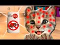 Little Kitten My Favorite Cat Pet Care Kids Games - Learn Colours With Little Kitten Preschool #159