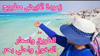 شاطيء زمردة الابيض مطروح وصف الطريق واسعار الشاطيء و الدخول واحلي بحر ومية