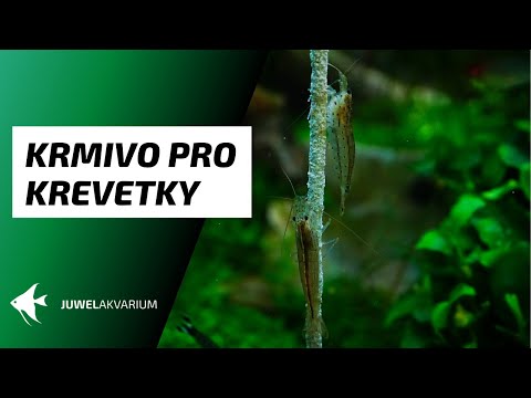 Video: Kalorické Krevety - Vařené, Syrové