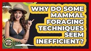 Why Do Some Mammal Foraging Techniques Seem Inefficient? - The Wild Life Explorer