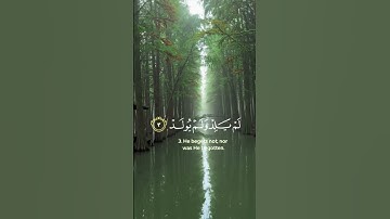 سوره ( الاخلاص )  القارئ شريف مصطفى
