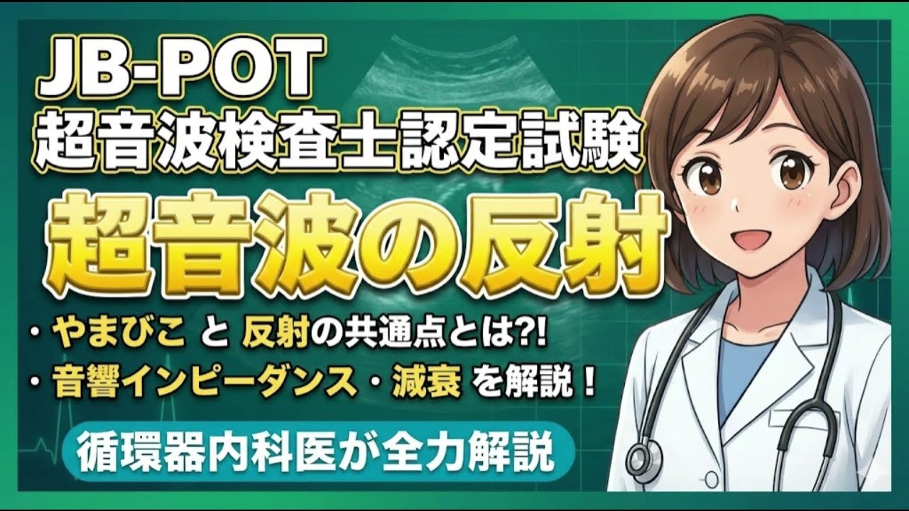 JB-POT・超音波検査士認定試験④】超音波の反射 [エコーの原理を徹底