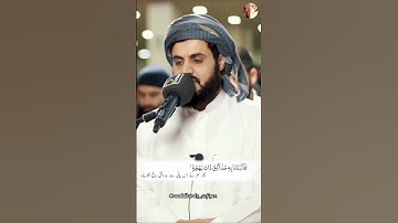 Raad Al kurdi Whatsapp status / رعد الكردي حالات واتس اب / سورة النمل