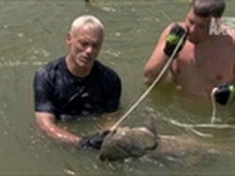 Jeremy Wade (aka River Monsters host) first 'trial' catch in