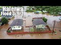 Haleiwa Flood 3/9/21 - Devastating Footage