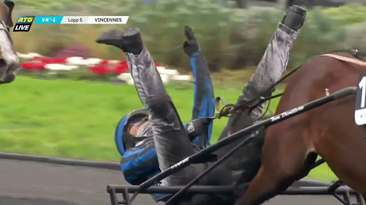 Prix d'Amérique 2025 - Idao de Tillard