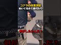 コアラの体重測定、ぬいぐるみで身代わり