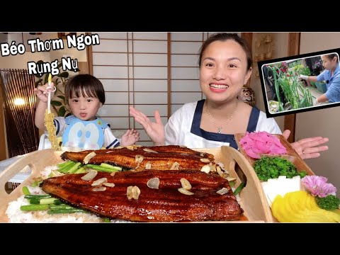 cơm lươn nhật bản hà nội New Ngon Hết Bài Mâm Lươn Unagi Sốt Teriyaki \u0026 Ngồng Tỏi Xào Nhà Trồng #580
