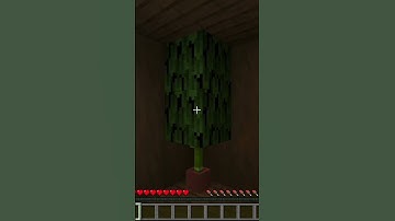 A secret Minecraft item frame base
