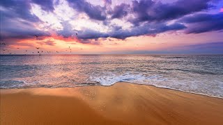 Ocean Jams Playlist