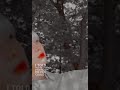 Ш ЩЉШЇЩЉШЄ ШіЩ Щ Щ Ш Щ Щ Ш ЩЉШЁЩ Enhypen Edit рџЊџ Ш ЩЉШЇЩЉШЄ ШіЩ Щ Щ Ш Щ Щ Ш ЩЉШЁЩ Enhypen Edit рџЊџ