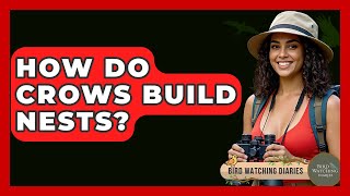 How Do Crows Build Nests? - Bird Watching Diaries